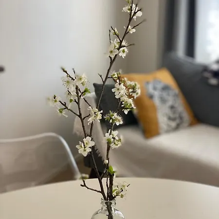 Monolocale Coco74 * Mommio