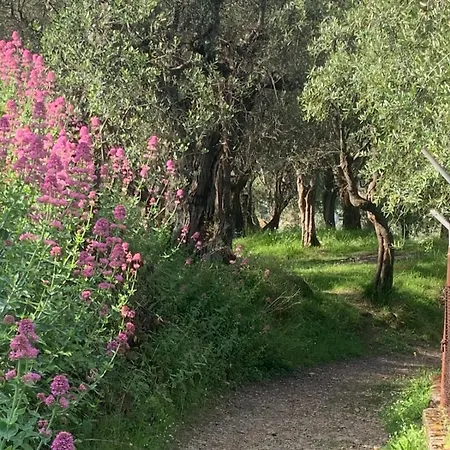 Monolocale Coco74 Mommio