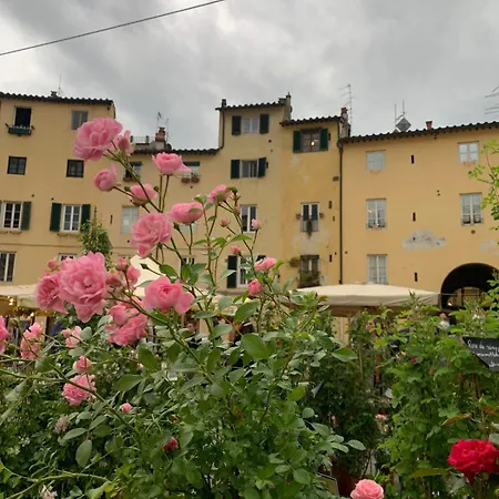 Monolocale Coco74 公寓