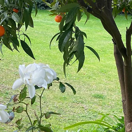 Monolocale Coco74 * Mommio