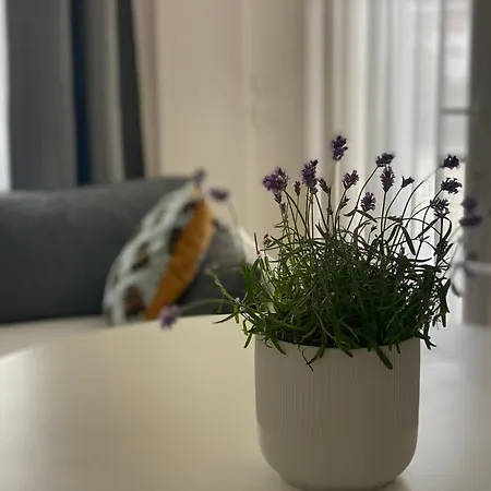 Monolocale Coco74 公寓 *