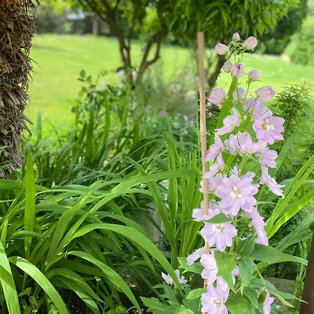 公寓 Monolocale Coco74 Mommio