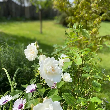 公寓 Monolocale Coco74 Mommio