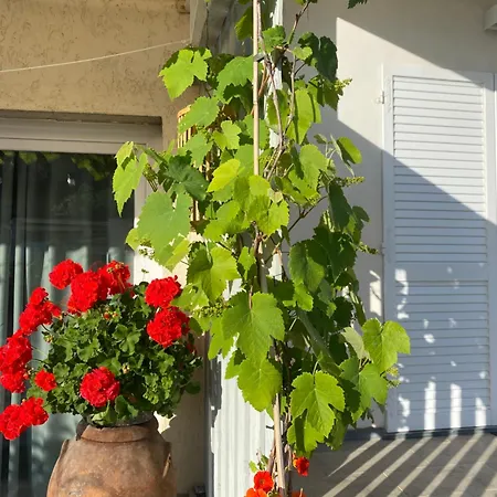 Monolocale Coco74 公寓 Mommio