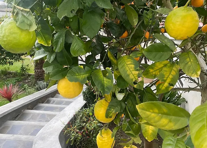 Apartamento Monolocale Coco74 *