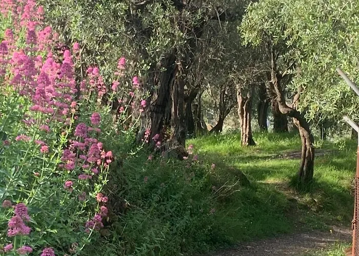 Monolocale Coco74 Mommio