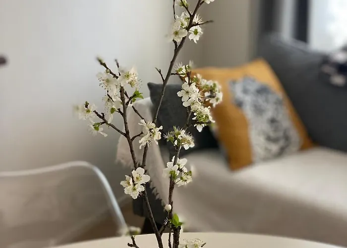 Monolocale Coco74 * Mommio