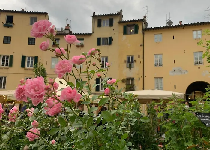 Monolocale Coco74 דירה