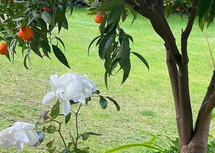 Monolocale Coco74 * Mommio