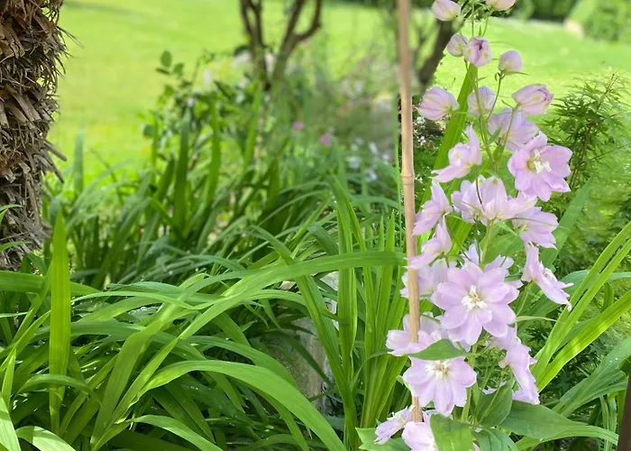 Apartment Monolocale Coco74 Mommio