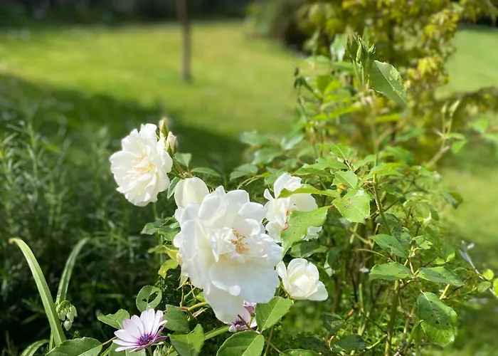 Apartamento Monolocale Coco74 Mommio