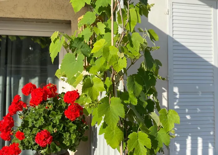 Monolocale Coco74 Apartamento Mommio