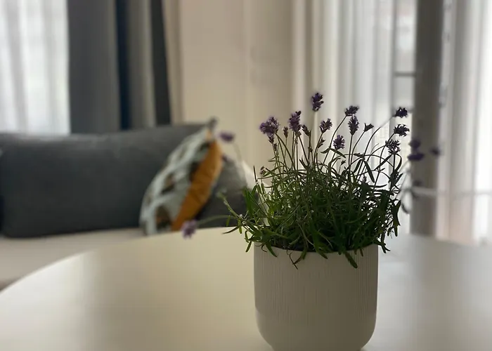 Monolocale Coco74 Lägenhet *
